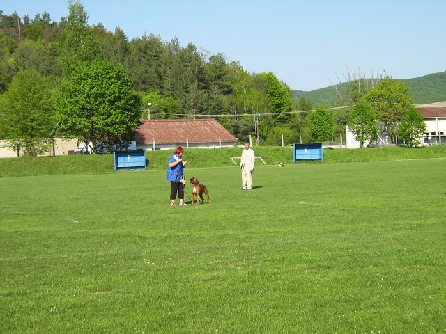 www.atibox.net * www.euroboxer.eu * www.boxergenealogia.eu